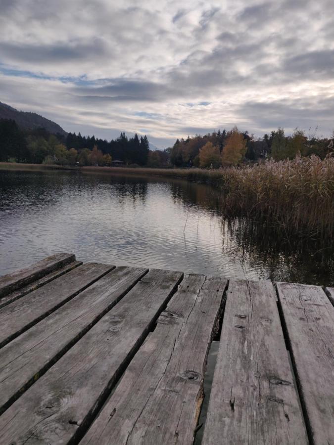 La Finestra Sul Brenta Apartment Lasino Bagian luar foto